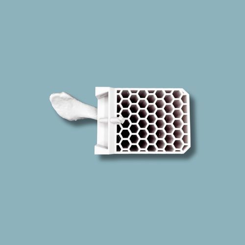 Anatomisches Modell / Schulter - 16-04-02 - ADDIDREAM - Knochen / Chirurgie / Ausbildung