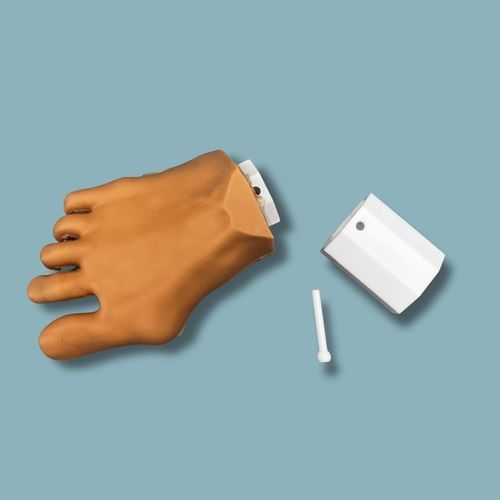 Anatomisches Modell / Haut - 01-11-03 - ADDIDREAM - Fuß / für minimalinvasive Chirurgie / für orthopädische Chirurgie