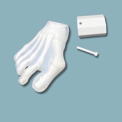 Anatomisches Modell / Kit - 01-44-01 - ADDIDREAM - Fuß / Kunststoff / transparent