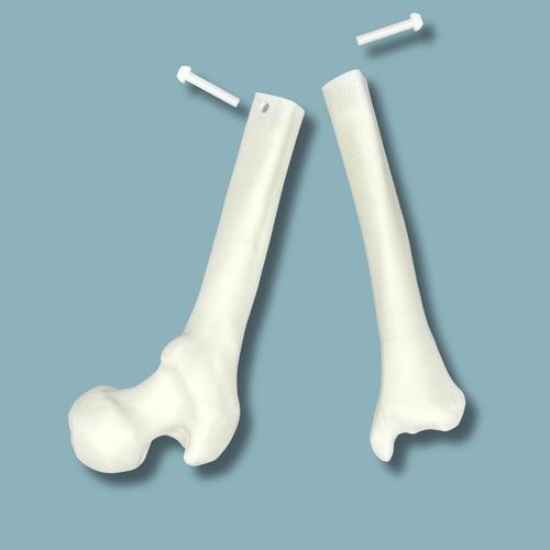 Anatomisches Modell / Knie - 04-39-01 - ADDIDREAM - Tibia / Oberschenkelknochen / für Arthroskopie