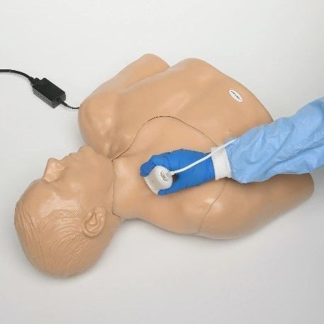 Testphantom für Ultraschalluntersuchungen - Elevate Healthcare - Oberkörper / Schilddrüse