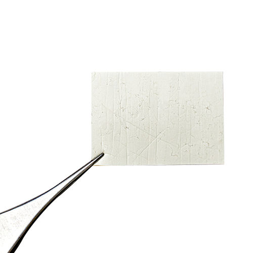Zahnchirurgie-Matrix - AGM-R-010050 - Neo Modulus Medical Sci-Tech - PCL / resorbierbar