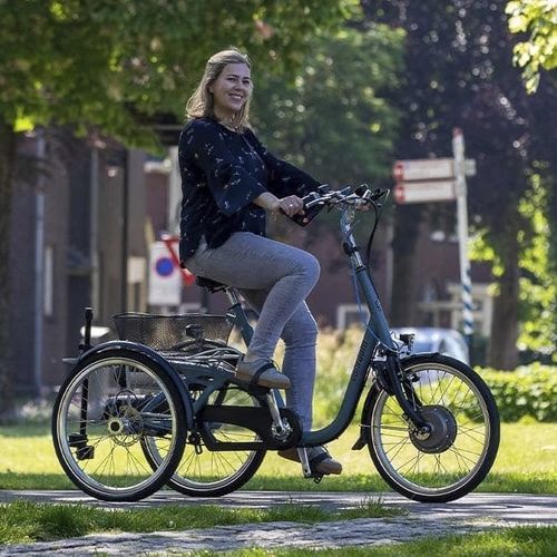 Orthopädisches Dreirad / zum Treten - 336-0000 - Van Raam - für Erwachsene / blau / grau