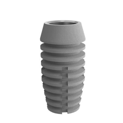 Konisches Zahnimplantat - 2.5 well  - DentalMaster (Xiamen) Medical Technology Co., Ltd - Titan / mit Innenverbindung / anatomisch