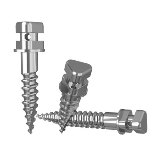 Mini-Implantat / Edelstahl - 7021814600S - DentalMaster (Xiamen) Medical Technology Co., Ltd - gerade / Schrauben / zur kieferorthopädischen Verankerung