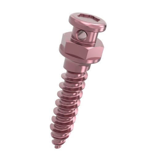 Mini-Implantat / Titan - 701831 series - DentalMaster (Xiamen) Medical Technology Co., Ltd - konisch / gerade / Schrauben