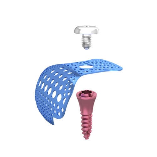 Titan-Verbindungsschraube - DentalMaster (Xiamen) Medical Technology Co., Ltd - Schrauben / glatt