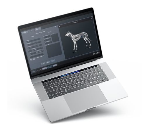 PACS mit Cloud Computing - Voyance&reg; - Medicatech USA - für medizinische Bildgebung / für Veterinärmedizin / für Kliniken