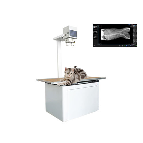Digitales Veterinär-Röntgensystem - Shandong Newheek Image Equipment - mit Tisch