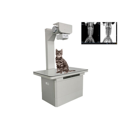 Digitales Veterinär-Röntgensystem - Shandong Newheek Image Equipment