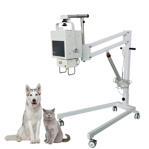 Röntgengenerator für Veterinärradiographie - Shandong Newheek Image Equipment