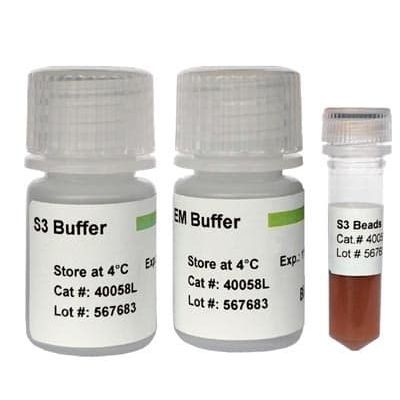 Magnetkugeln-Reagenz - 40058S - BioDynami - zur DNA-Reinigung