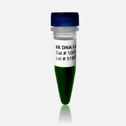 Ladepuffer-Reagenz - 10010 series - BioDynami - Farbstoff / für RT-qPCR
