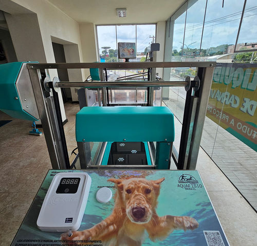 Veterinär-Laufband / Unterwasser - Hidromaq Tecnologias Eireli - für Hunde