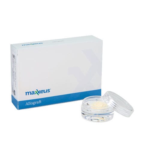 Allograft-Knochenersatzmaterial - DM005 - Maxxeus - für orthopädische Chirurgie / Granulat