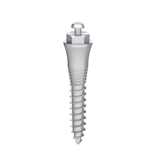 Titan-Implantatschraube - Ancora - Bionika Medline Kft. - Schrauben / glatt