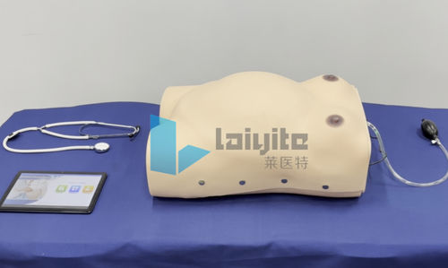 Trainingssimulator - Nanjing Laiyite Electronic Technology Co., Ltd - Geburtshilfe/Gynäkologie / für Allgemeinpflege