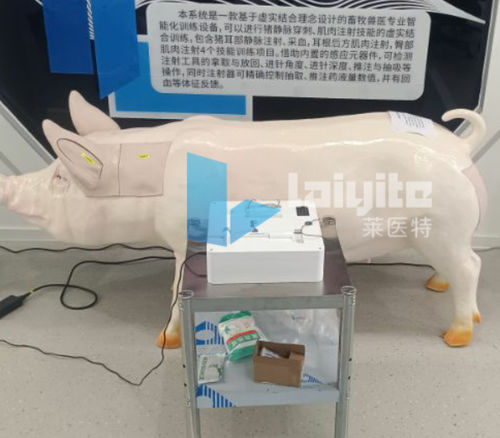 Trainingssimulator - Nanjing Laiyite Electronic Technology Co., Ltd - chirurgisch / für Veterinärmedizin