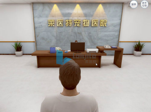 Simulationssoftware - Nanjing Laiyite Electronic Technology Co., Ltd - Ausbildung / TEP / für Veterinärmedizin