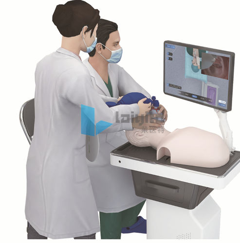 Simulator für intravenöse Katheterisierung - Nanjing Laiyite Electronic Technology Co., Ltd - für Injektionen / Atemwegsmanagement / Ausbildung