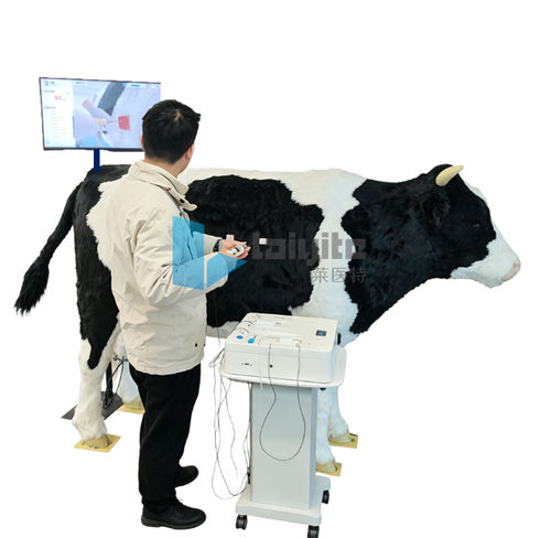 Atemwegsmanagementsimulator - Nanjing Laiyite Electronic Technology Co., Ltd - Monitoring / Ausbildung / für Veterinärmedizin