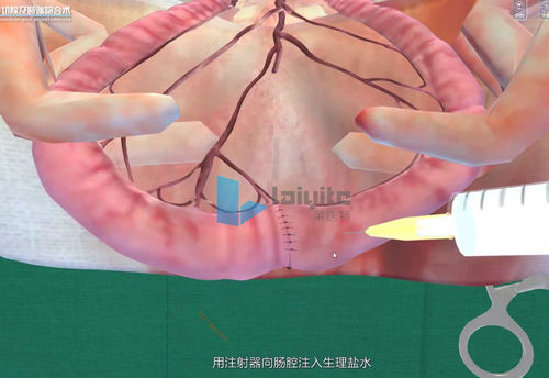 Simulationssoftware - Nanjing Laiyite Electronic Technology Co., Ltd - Ausbildung / Bewertung / für Veterinärmedizin