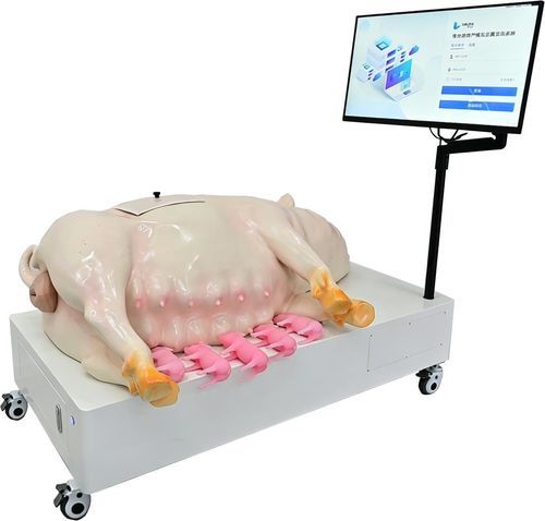 Simulator für Veterinärmedizin - Nanjing Laiyite Electronic Technology Co., Ltd - für Entbindungen / Ausbildung / Schwein