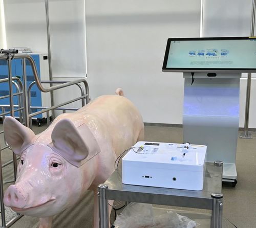 Simulator für Veterinärmedizin - Nanjing Laiyite Electronic Technology Co., Ltd - für intramuskuläre Injektion / für intravenöse Injektion / für Blutabnahmen