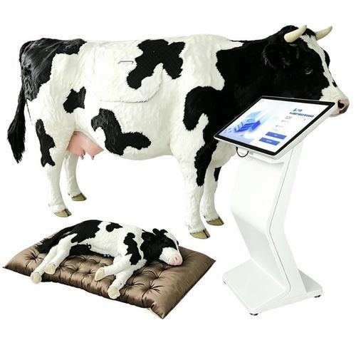 Simulator für Veterinärmedizin - Nanjing Laiyite Electronic Technology Co., Ltd - für Entbindungen / Ausbildung / Rinder