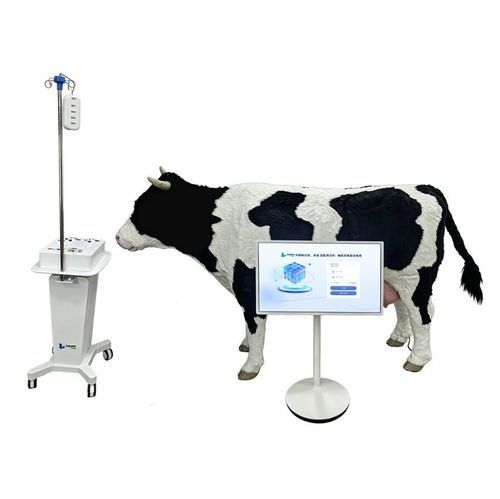 Simulator für Veterinärmedizin - Nanjing Laiyite Electronic Technology Co., Ltd - für Injektionen / für Blutabnahmen / Ausbildung