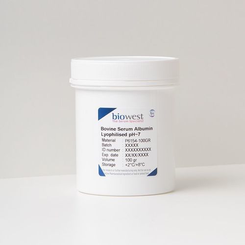 Reagenz / Albumin aus Rinderserum - P6154 series - Biowest - zur Proteinanalyse / zur Proteinstabilisierug / zum Blockieren