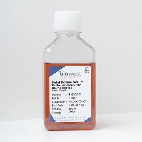 Reagenz / foetales Kalbfleischserum - S1600 series - Biowest - Serum / für Forschungszwecke / für Produktion