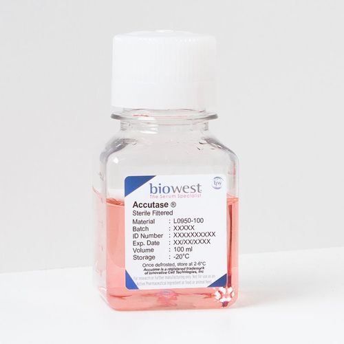Reagenz / als Lösung - Accutase® - Biowest - Enzyme / für Zellkultur / für die Zellzählung