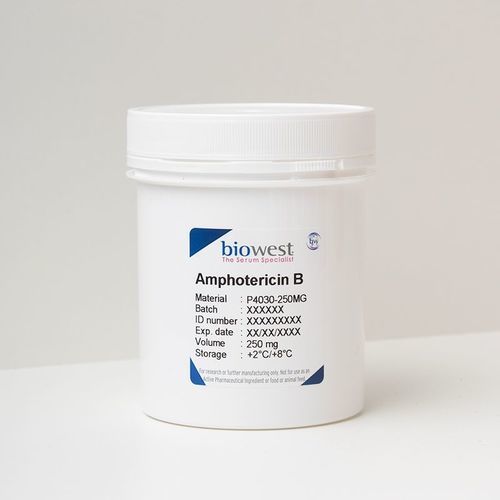 Fungizides Reagenz - P4030 - Biowest - Amphotericin B / für Zellkultur / für Gewebekultur
