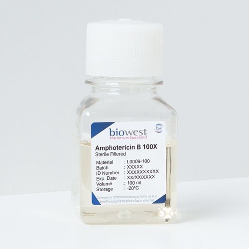 Reagenz / Amphotericin B - L0009 series - Biowest - fungizid / als Lösung / für Produktion