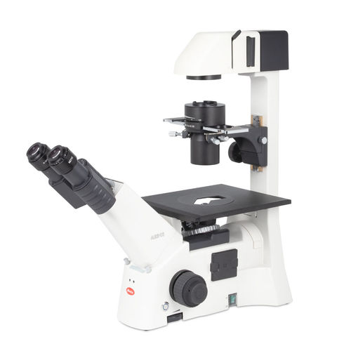 Optisches Mikroskop - AE31E - Motic Europe - Labor / aufrecht / Siedentopf