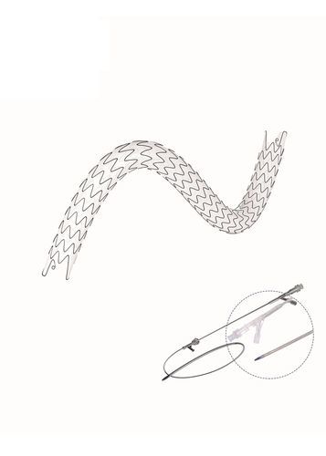 Ureter-Stent - EUS series - Hunan Endovascular Device Co., Ltd. - Polyurethan / Nitinol / beschichtet