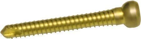 Intramedullärschraube für Oberschenkelknochen - 120 series - hb ortho - für Tibia / für Trochanter / für Oberschenkelknochen