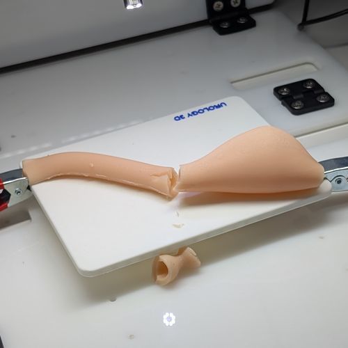 Simulator für urologische Behandlungen - Urology3D - Chirurgie / Ausbildung / zum Sezieren