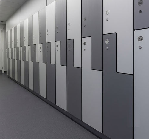 Lagerfach - Changzhou Zhongtian Fire-proof Decorative Sheets Co., Ltd. - Sicherheit / mit Schlüssel / für Gesundheitseinrichtungen