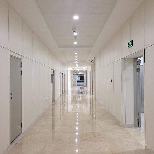 Medizinische Wandverstärkung - Changzhou Zhongtian Fire-proof Decorative Sheets Co., Ltd. - für Gesundheitseinrichtungen / Labor / mit Verkleidungspaneelen
