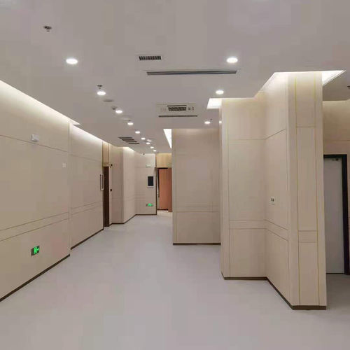 Platte für Krankenhaus - Changzhou Zhongtian Fire-proof Decorative Sheets Co., Ltd. - Reinraum / Brandschutz