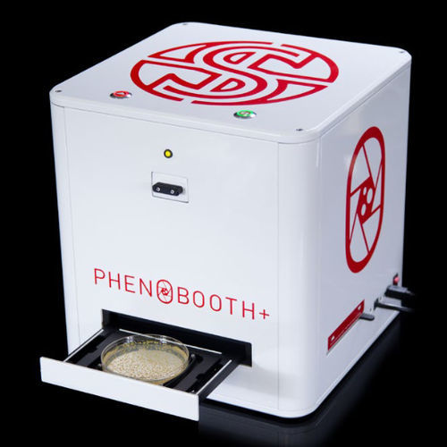 Automatischer Kolonienzähler - PhenoBooth+ - singer instruments - automatisiert / Tisch / bildbasiert