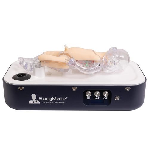 Patientensimulator / mütterliche/neonatale Pflege - NeoPeds - SurgMate - für pädiatrische Betreuung / ECMO / für Ultraschalluntersuchungen