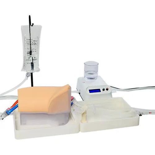 Gefäßmodell / Arteria femoralis - FVA-B01 - SurgMate - Femoralvene / Bein / für perkutane Koronarinterventon