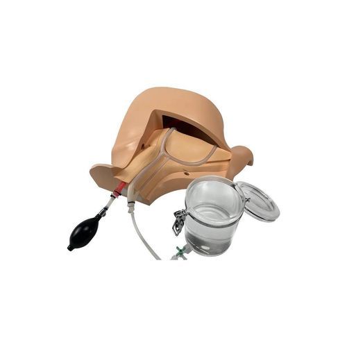 Anatomie-Simulator - CVC-B01 - SurgMate - für Allgemeinpflege / für Palpationen / für Punktionen