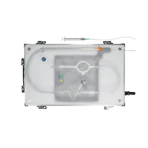 Simulator für Neurochirurgie - AVM-B01 - SurgMate - Ausbildung / für zerebrale Embolisation / für neurovaskuläre Eingriffe