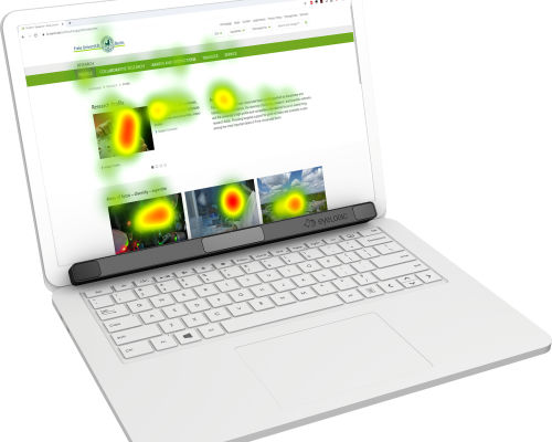 Augenmessgerät für Forschungszwecke - EyeLogic Lite - EyeLogic - tragbar / Desktop / Video
