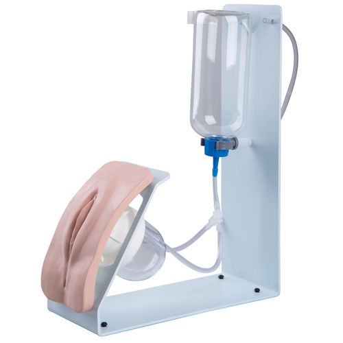 Simulator für Katheterisierung - P93B-F  - 3B Scientific   - weiblich / Vagina