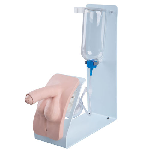Simulator für Katheterisierung - P93B-M - 3B Scientific   - männlich / Penis